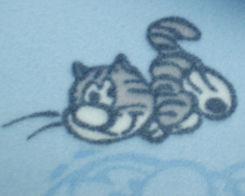 Fleece baby blanket 001G Fleece baby blanket 001G